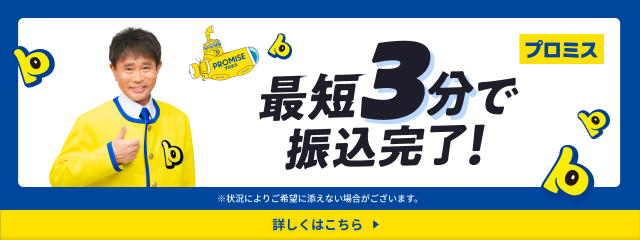 プロミスPR